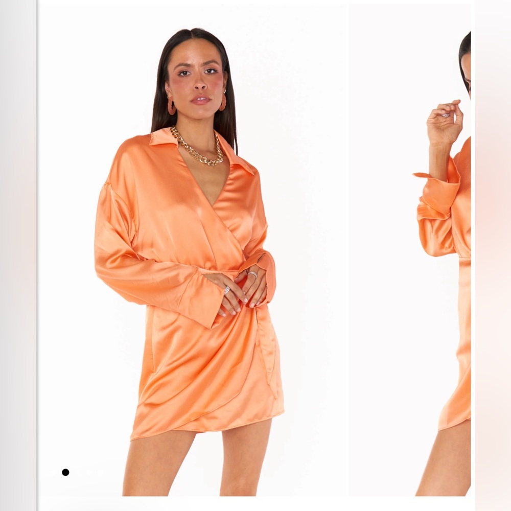 Show Me Your Mumu Clara Collared Dress